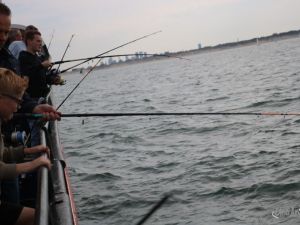 UA250920 Dagtocht zeevissen45.JPG